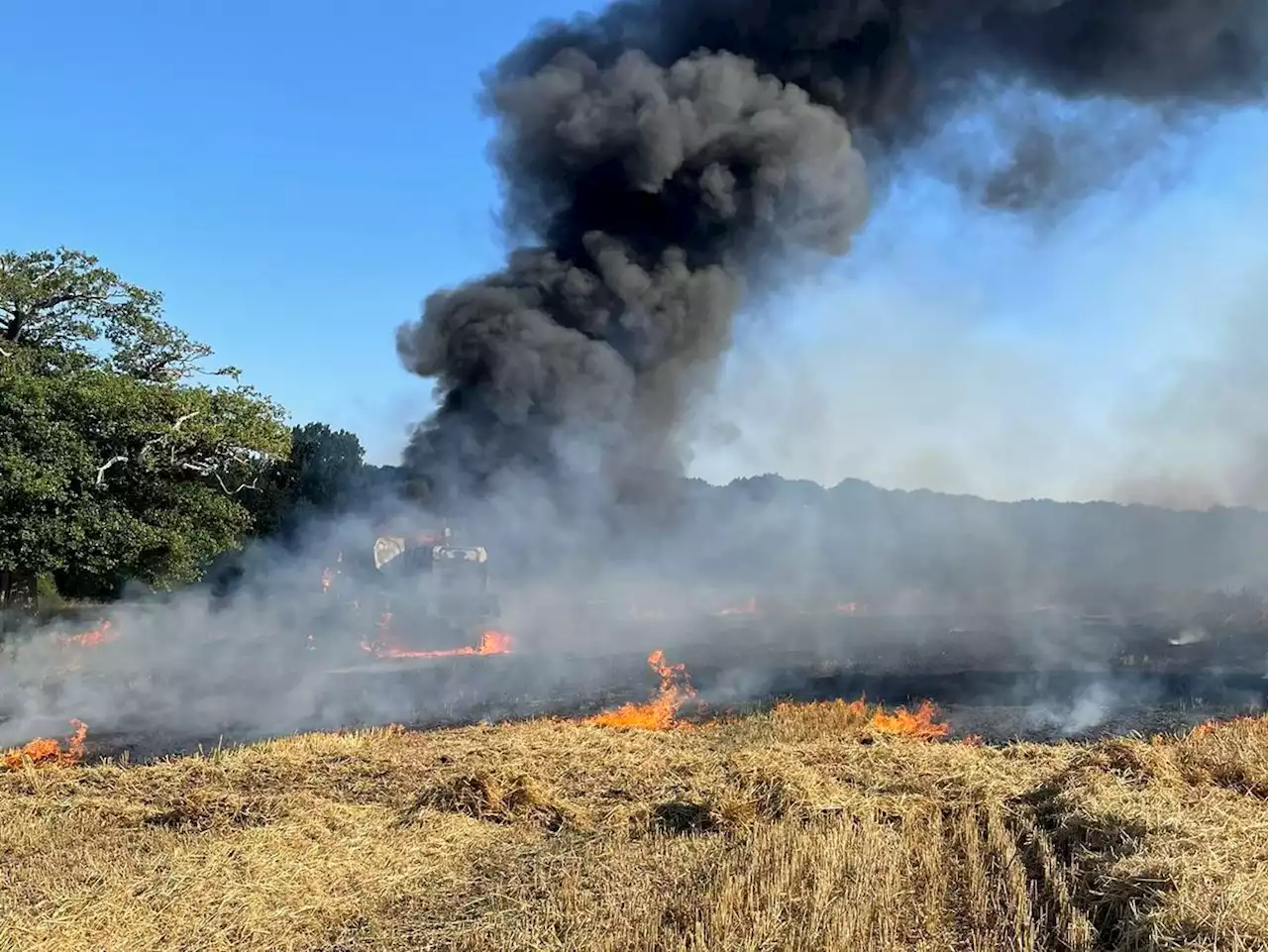 Summer heatwave fuels massive rise in wildfires in 2022 in scorching Shropshire