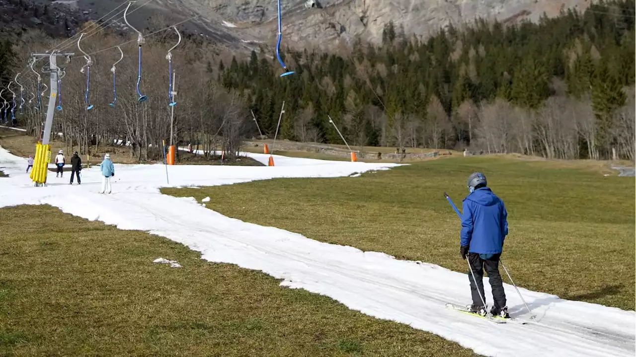 „Oben ist alles grün“: Schweizer Skigebiete stellen auf Sommerbetrieb um