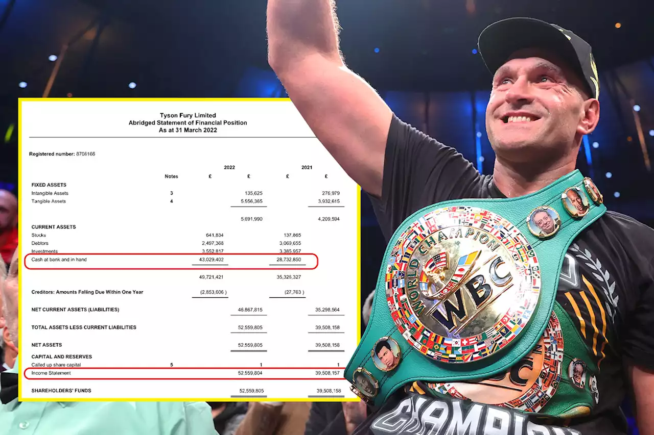 Tyson Fury made £13million profit this year and has £43m in the bank ahead of lucrative undisputed fight with Oleksandr Usyk