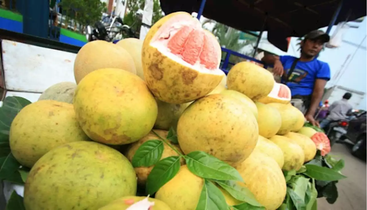 Ingin Menurunkan Berat Badan Konsumsi Jeruk Bali, Kenapa?