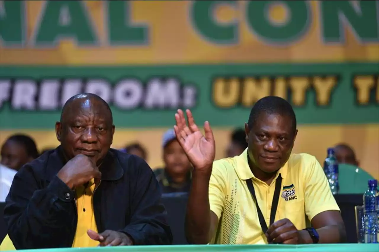 ANC elective conference: Politics is a stinking business | The Citizen