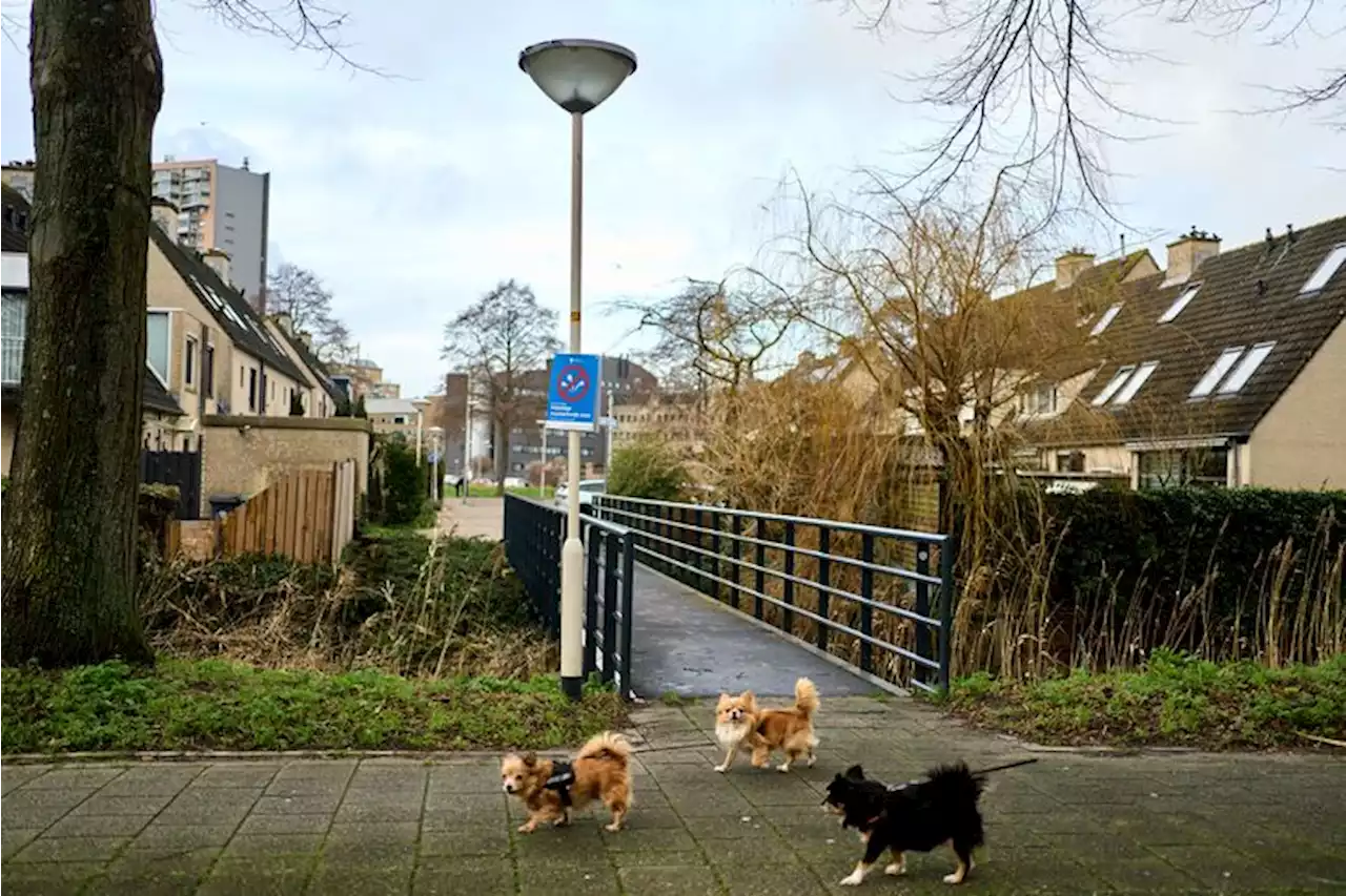 Vriendelijk verzoek aan de buurt: niet knallen in de Korinthestraat