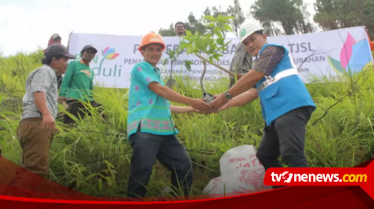 Darmawan Prasodjo dan Navigasinya Memimpin Transformasi Hijau Di Tubuh PLN