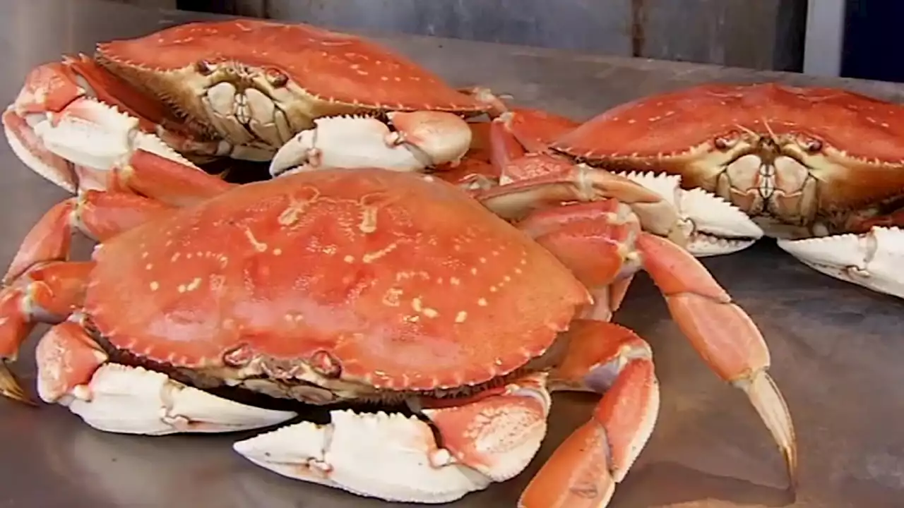 Stormy weather could further delay start of Bay Area crab season