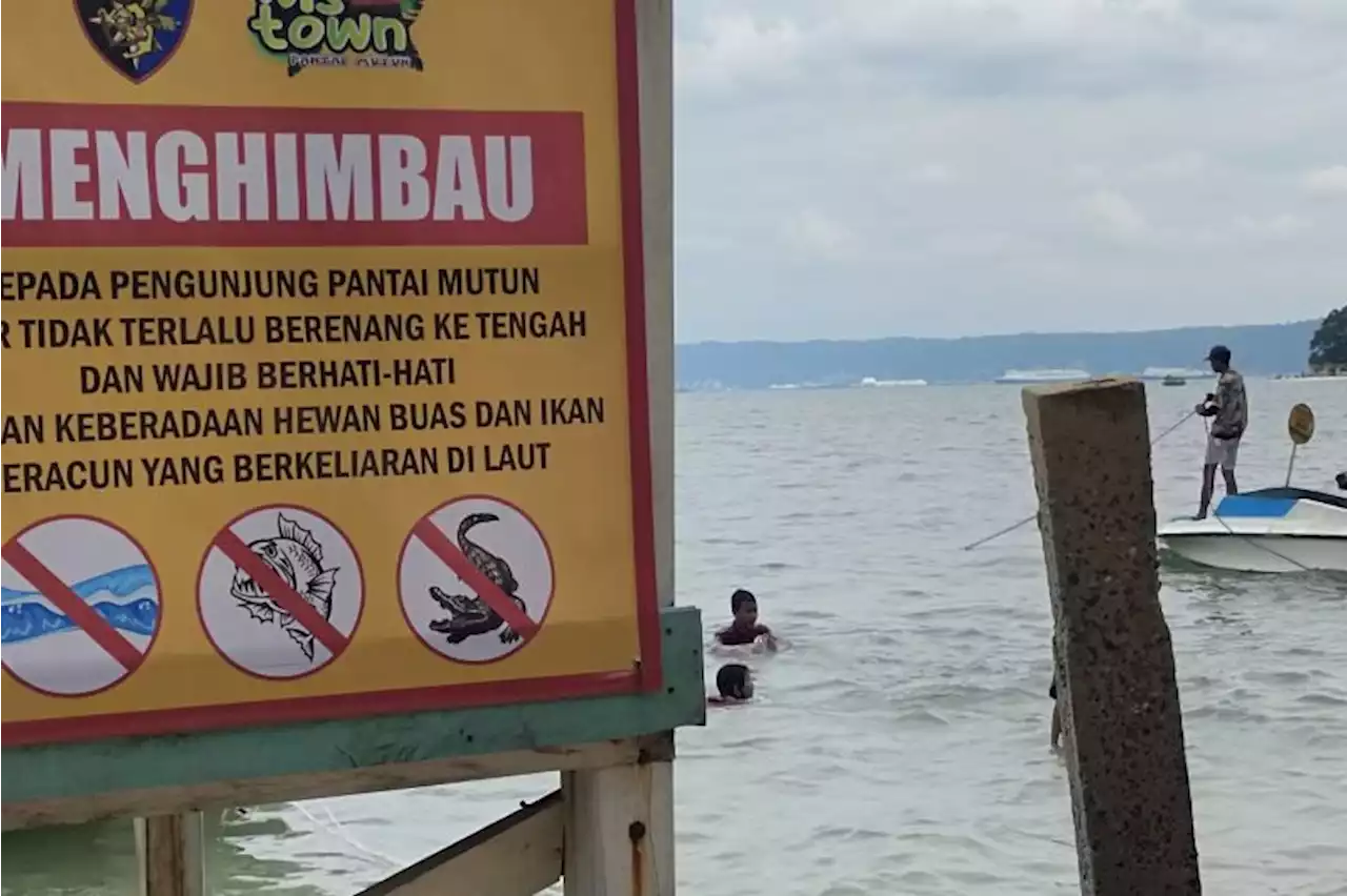 Waspadai buaya saat libur Tahun Baru di pesisir pantai Bandarlampung