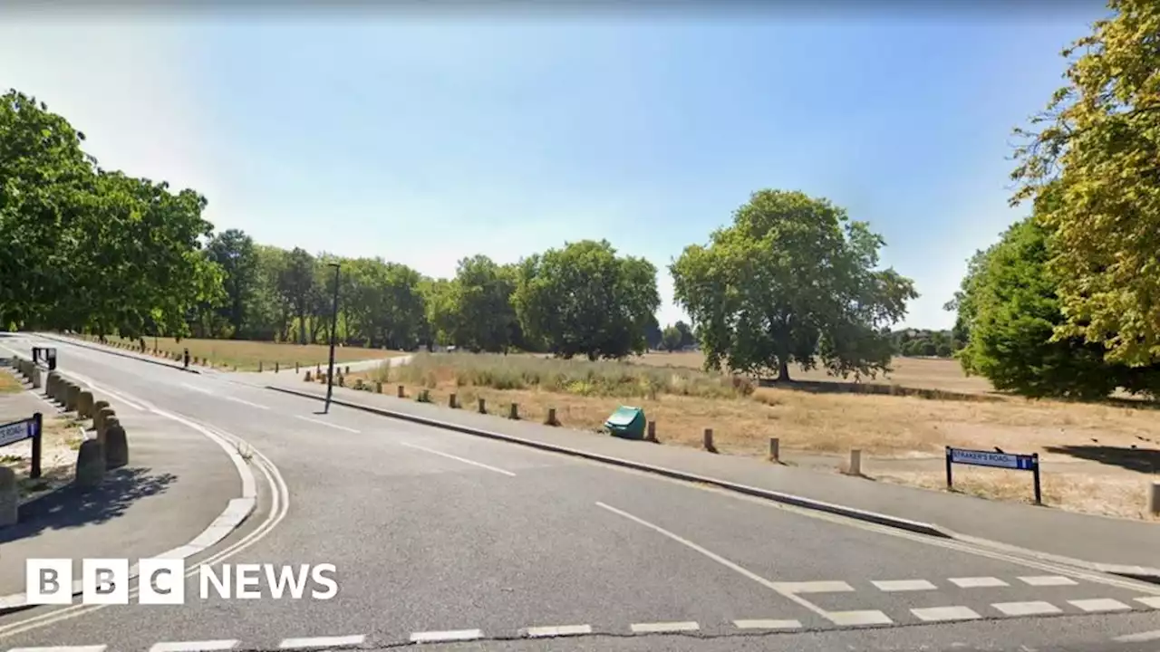 Peckham Rye: Man, 29, stabbed to death