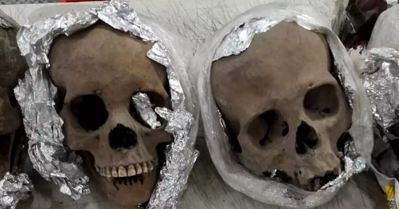 Mexican authorities find four human skulls being shipped to South Carolina