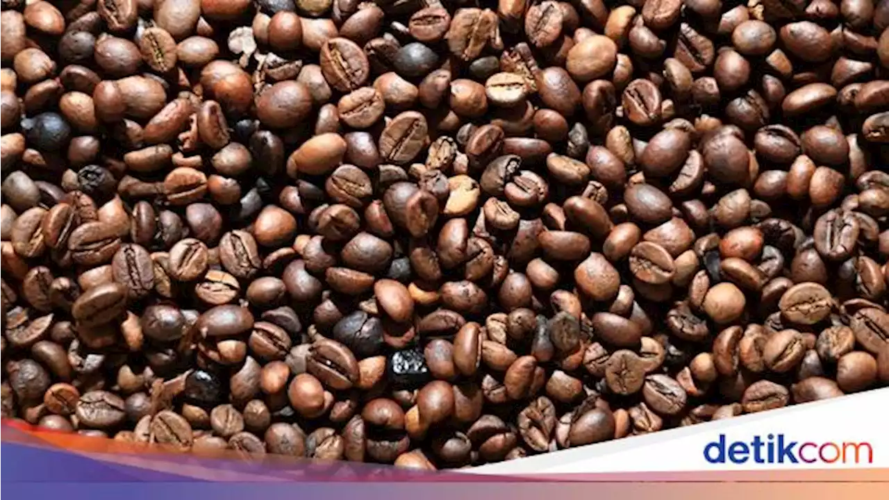 Top! 19 Ton Kopi Robusta RI 'Terbang' Sampai ke Mesir