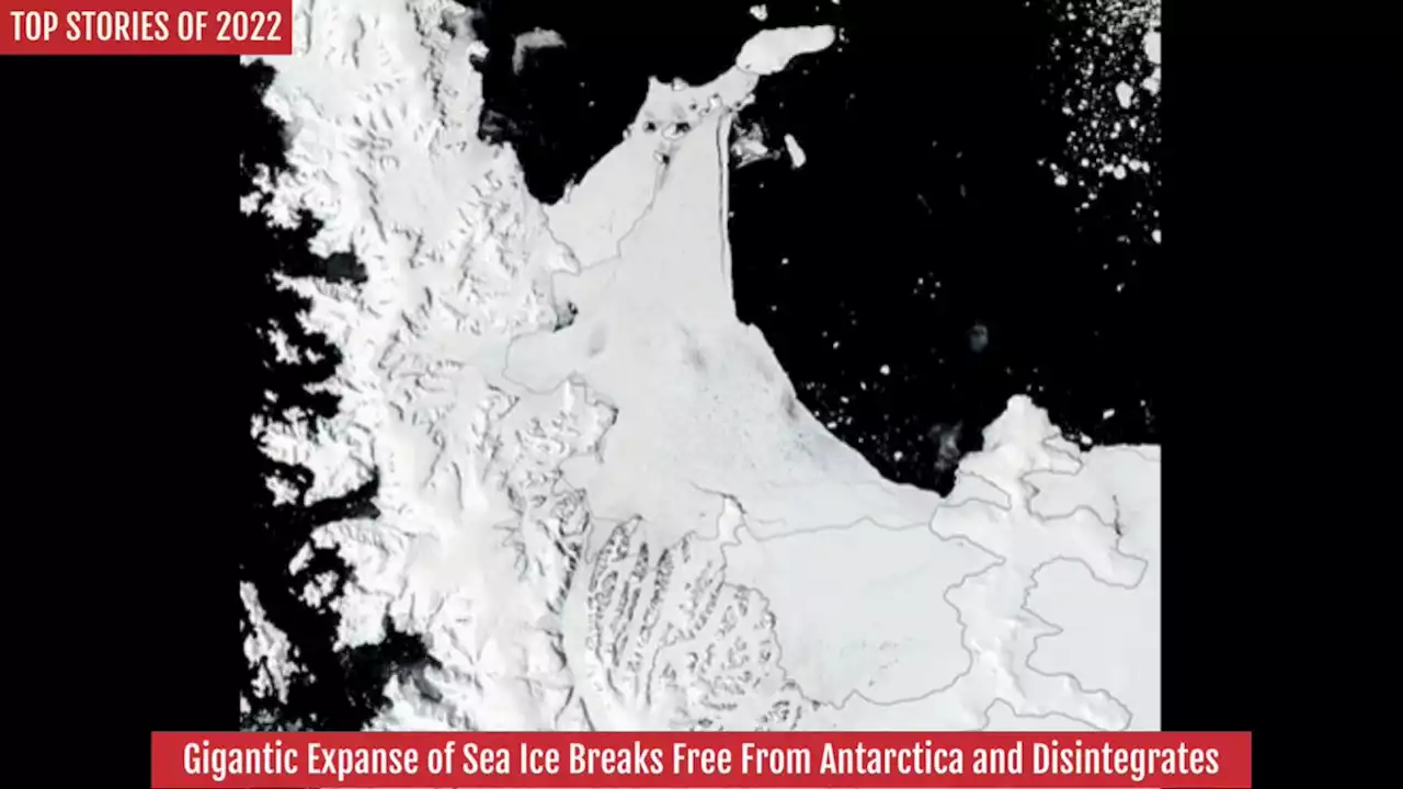 Gigantic Expanse of Sea Ice Breaks Free From Antarctica and Disintegrates