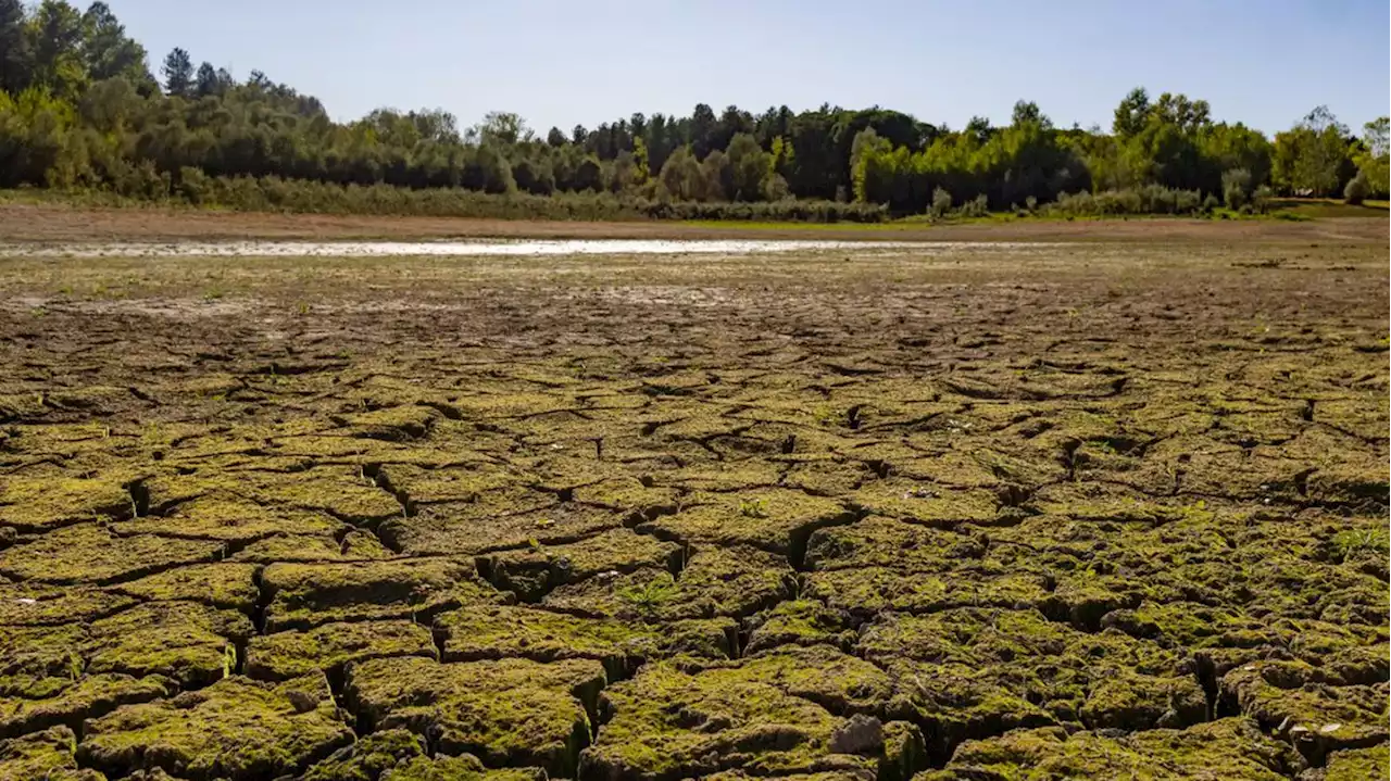 Réchauffement climatique : 2022, une année de records de températures