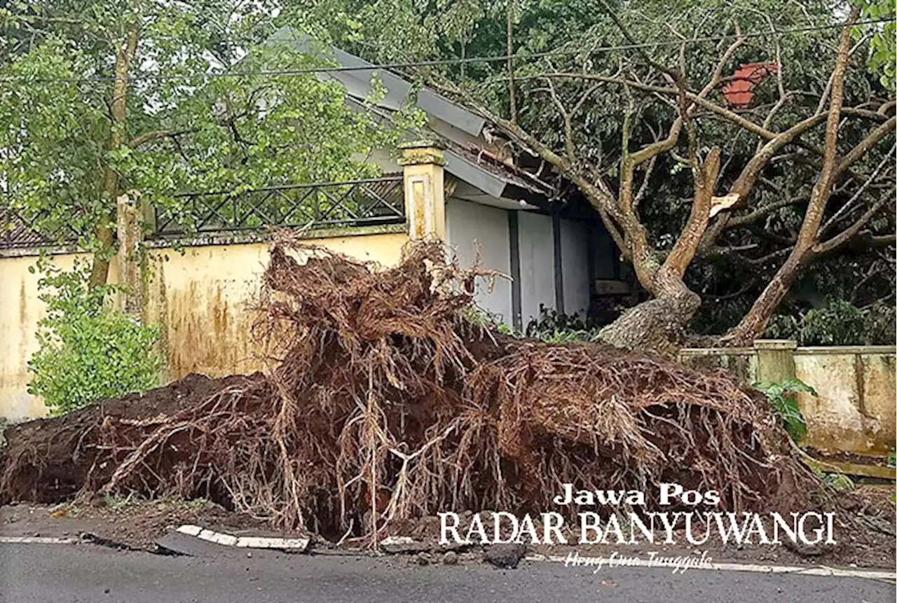 BMKG: Malam Tahun Baru Waspadai Cuaca Ekstrem