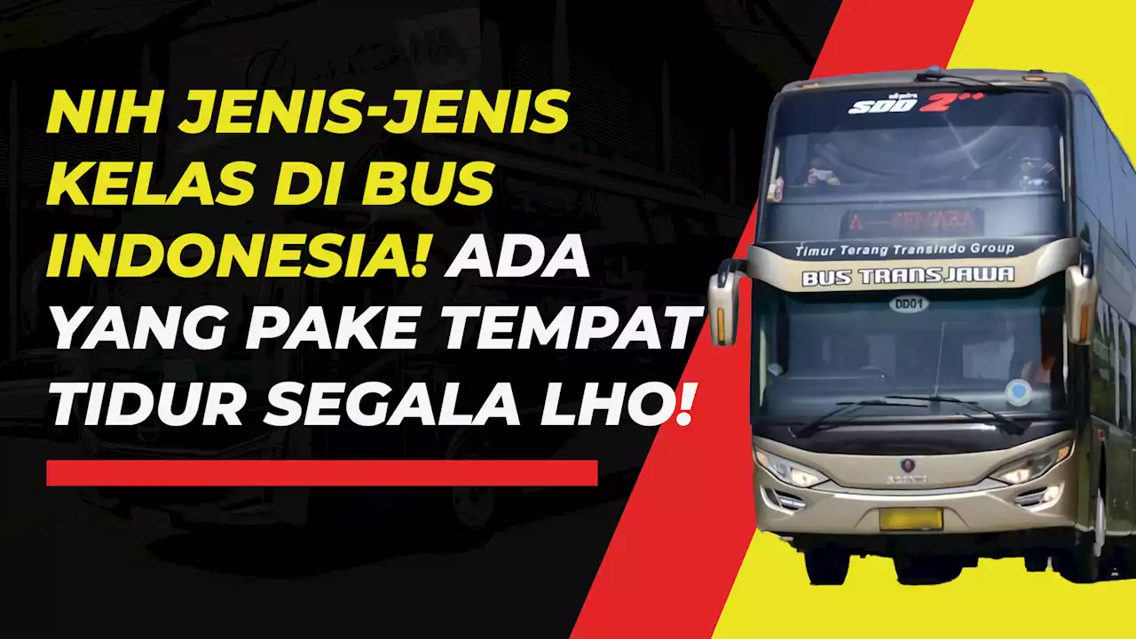 Jangan Salah Pilih, Berikut Jenis-jenis Kelas Pelayanan Bus AKAP di Indonesia