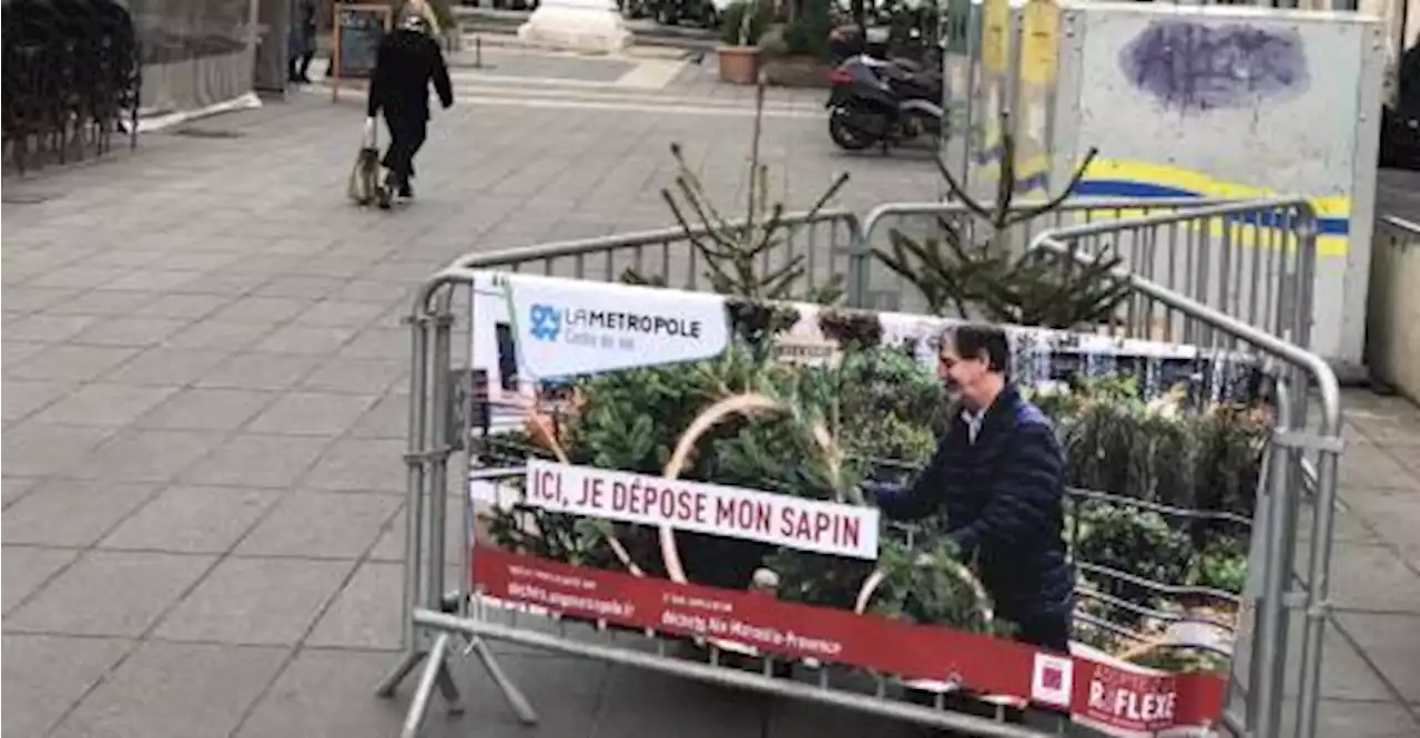 La Métropole Aix-Marseille-Provence permet de recycler son sapin de Noël