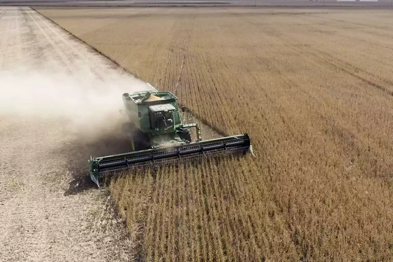 En medio de los quebrantos por la sequía, el campo sigue apuntado por el fisco