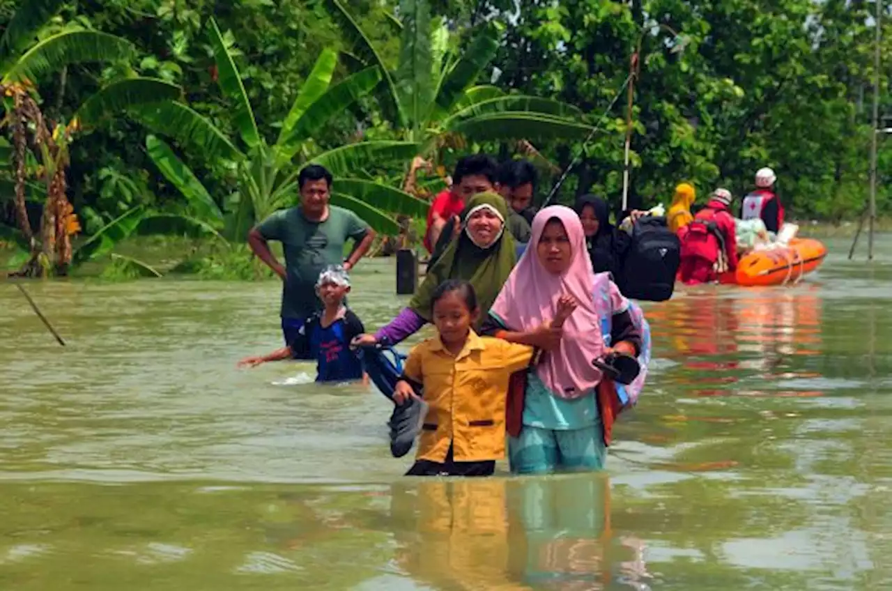 Banjir di Jateng, Ribuan Rumah dan Jalur Pantura Terendam