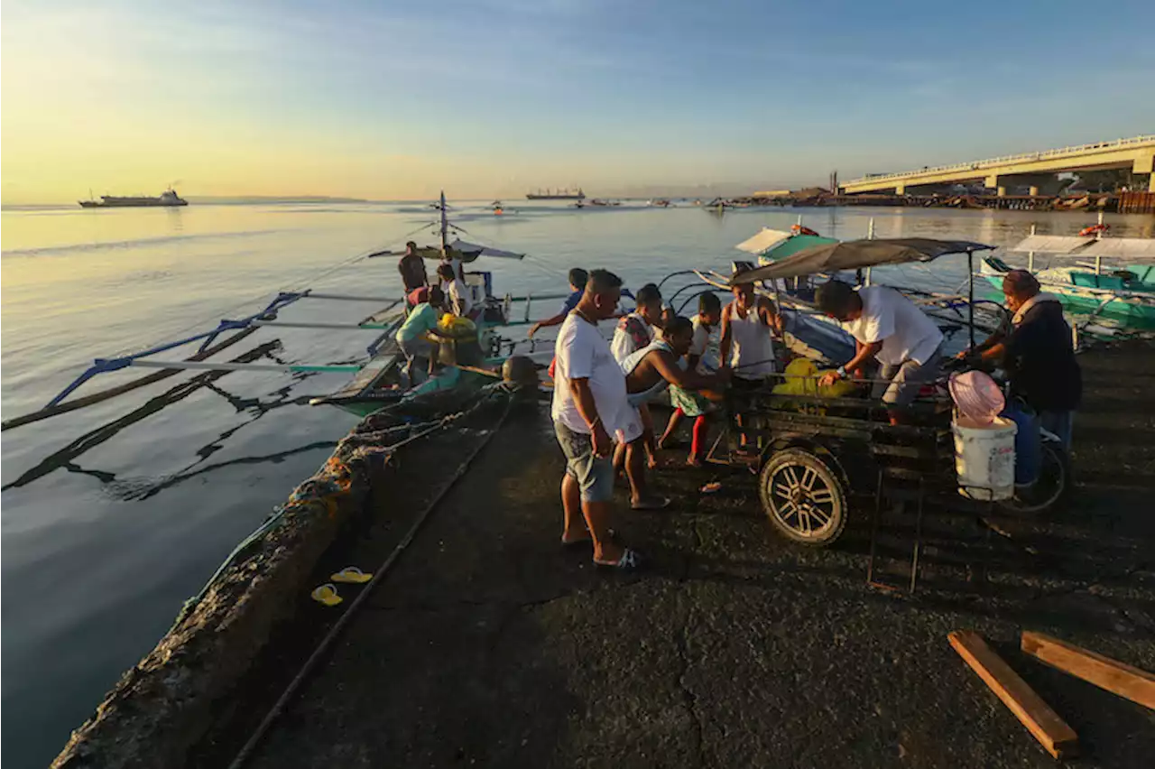 From sea to market