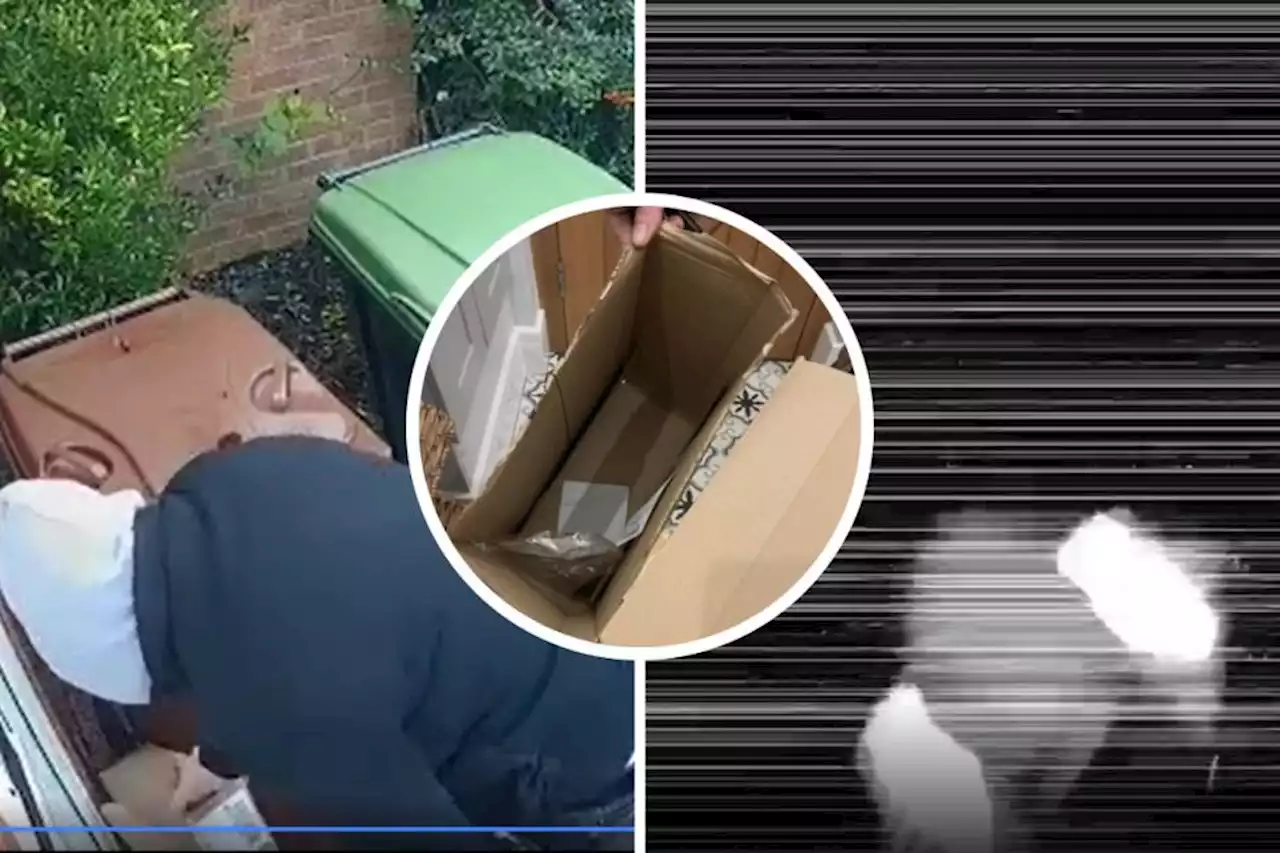 Doorbell footage allegedly 'shows Amazon drivers stealing packages'