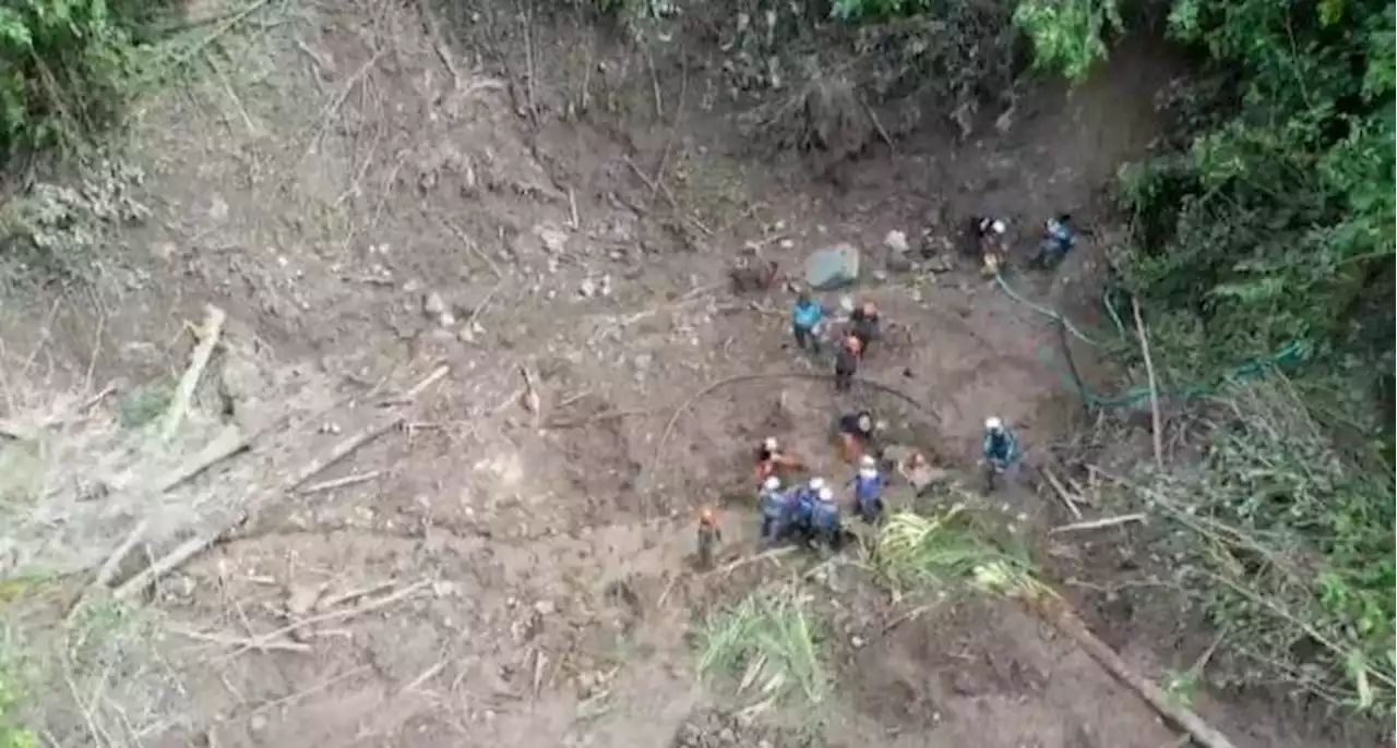 Horses bring food to 500 stranded families in Mati mining village