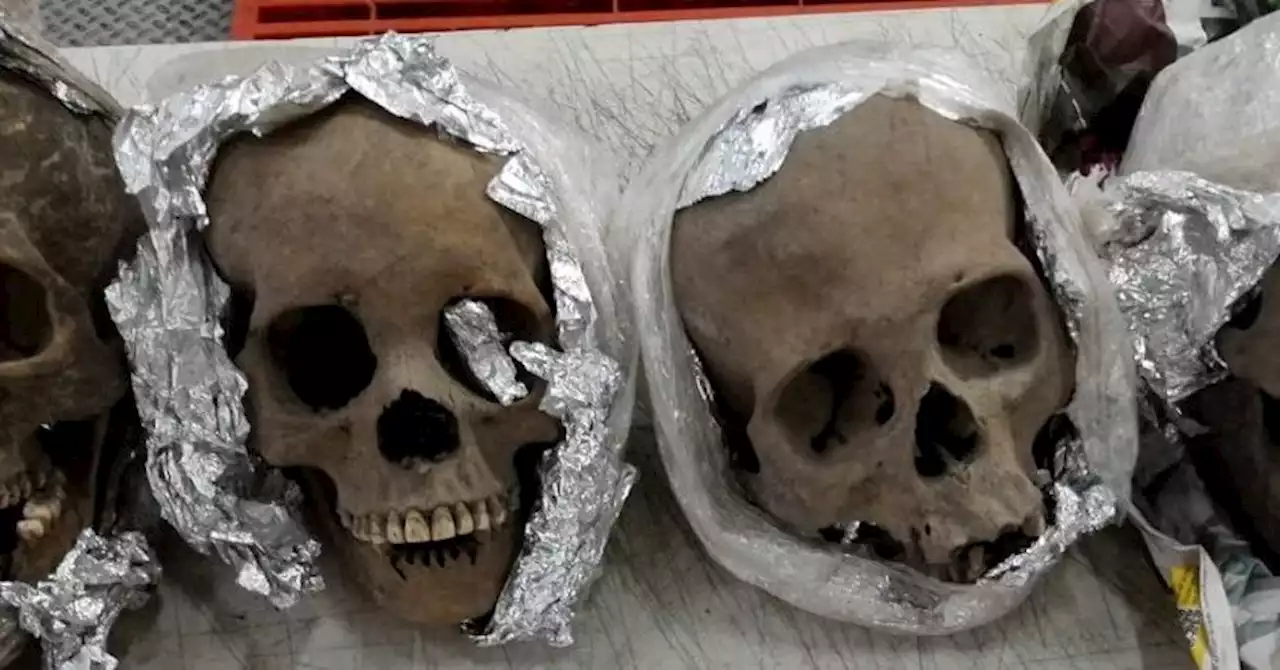 Mexican authorities uncover human skulls in package headed for U.S.