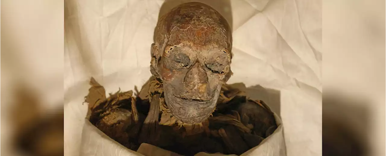 We May Have Been All Wrong About Ancient Egyptian Mummies, Scholars Argue