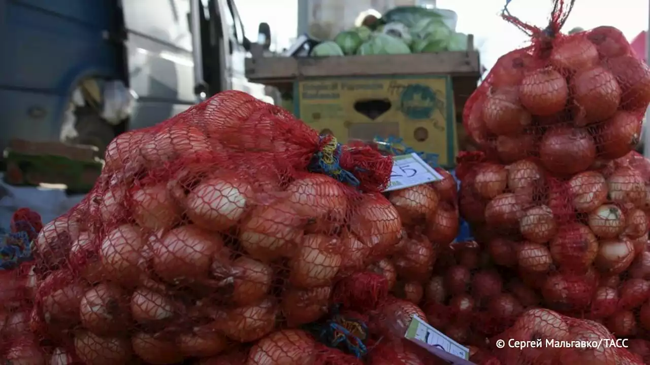 Правительство поручило установить квоты на вывоз сельхозпродукции из новых регионов