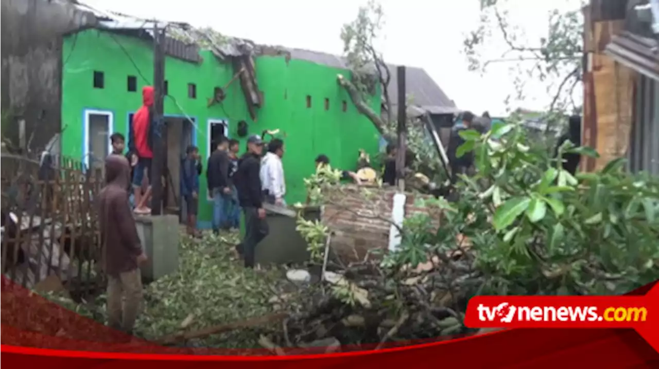 Pohon Berusia 300 tahun Dikeramatkan Warga Desa Sampulungang Takalar, Tumbang Akibat Angin Kencang