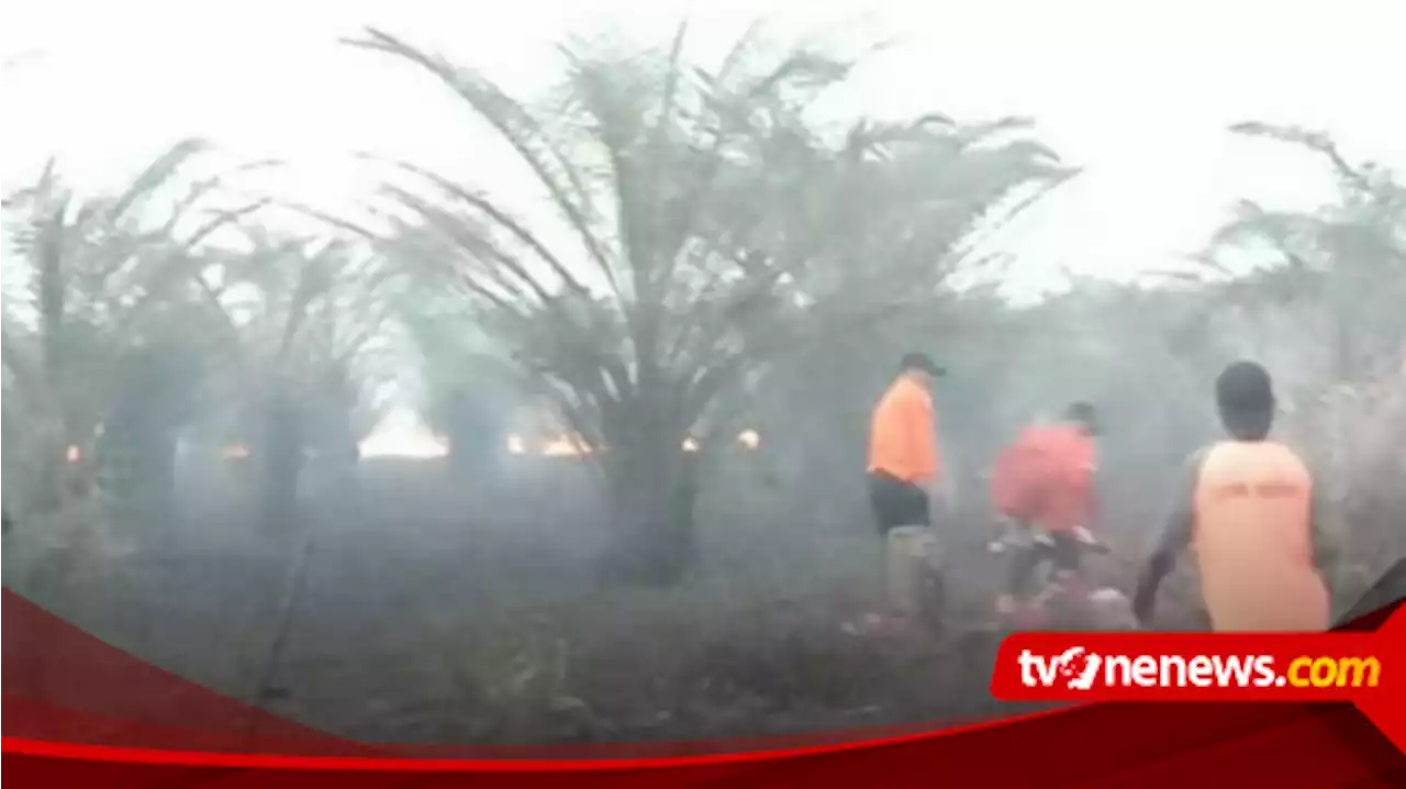 Tim Gabungan BNPB Berhasil Padamkan Kebakaran Lahan di Kotawaringin Barat Kalimantan Tengah