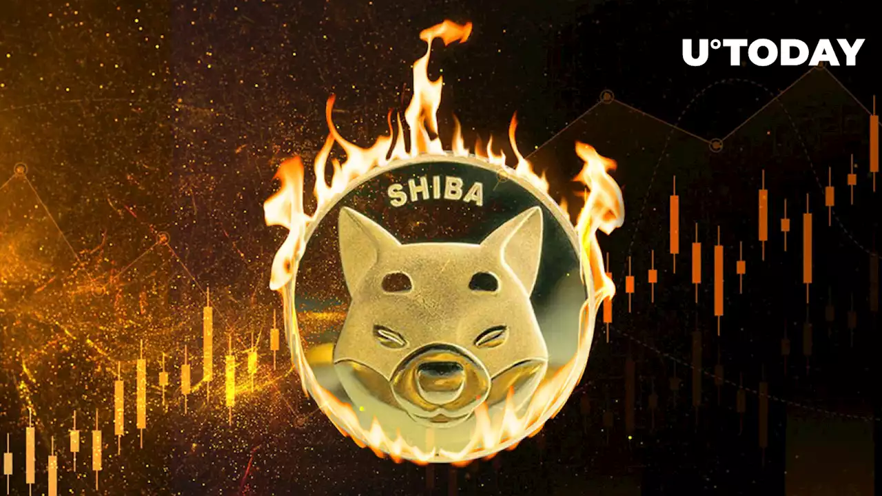 SHIB Burn Rate Spikes 13,198% as Hundreds of Millions of Shiba Inu Get Removed