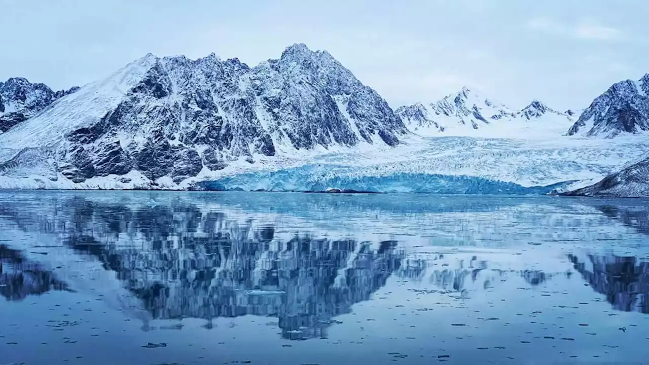 im land der gletscher und eisbären