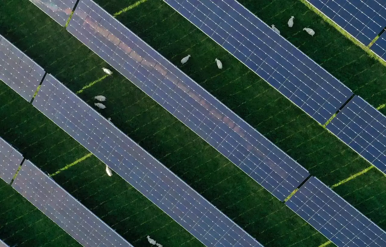 TotalEnergies inaugure à Fos-sur-Mer une puissante centrale solaire