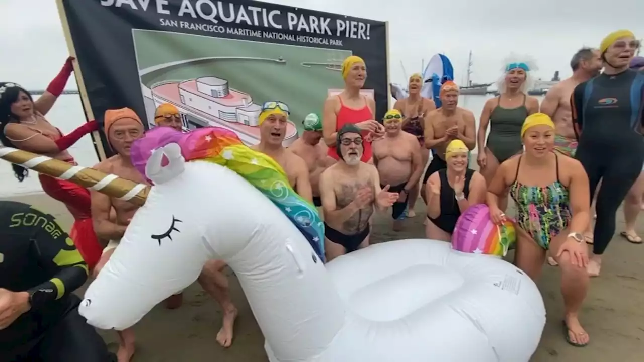 'Cold and fabulous': Advocates plunge into the Bay to help save SF's crumbling Aquatic Park Pier