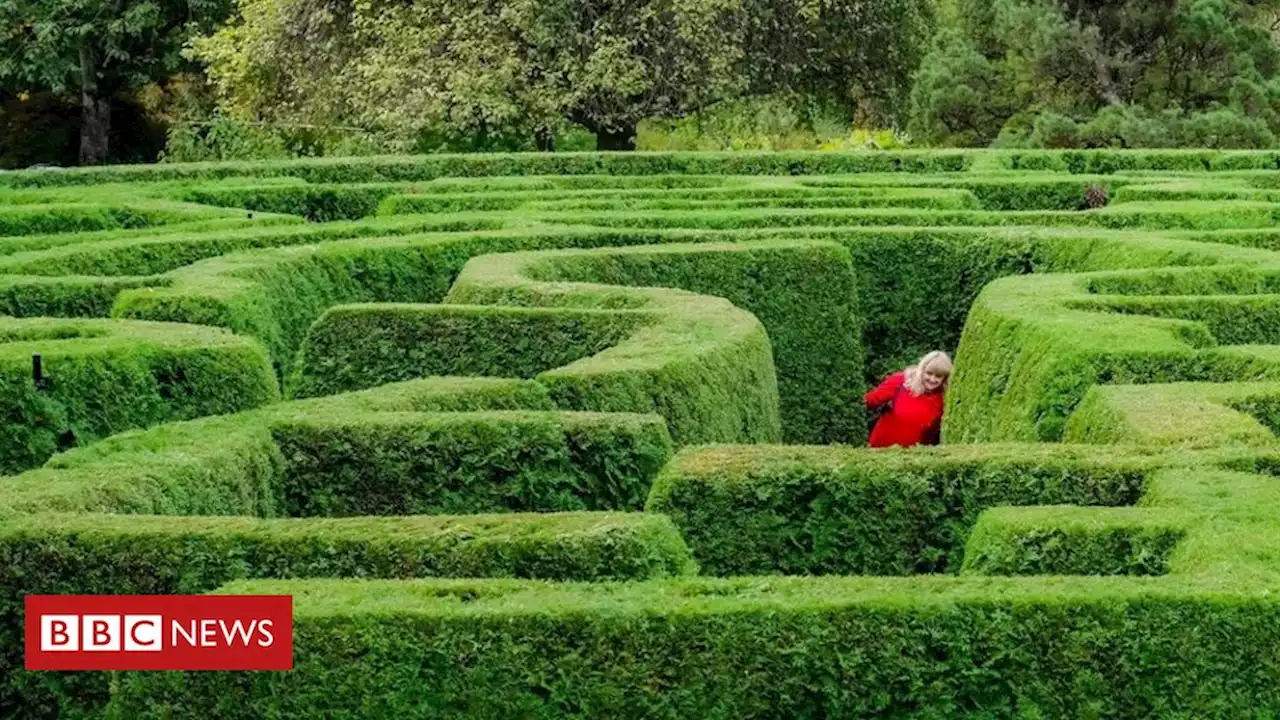 Por que ter 'brancos' na mente pode ser bom para nós - BBC News Brasil