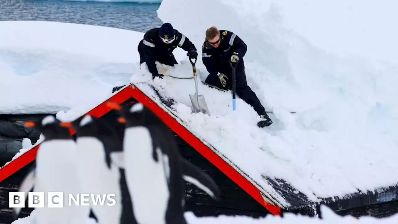 Royal Navy digs out world's most remote post office from Antarctic snow