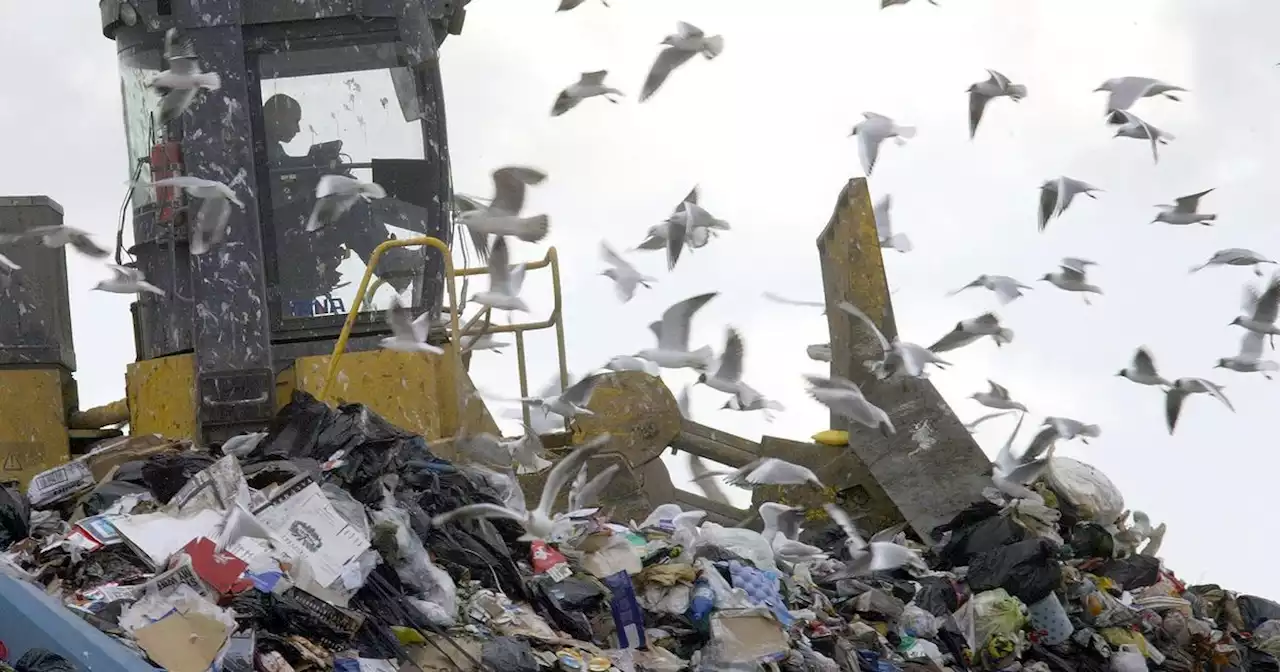 141,300 tonnes of biodegradable NI waste sent to landfill despite climate impact