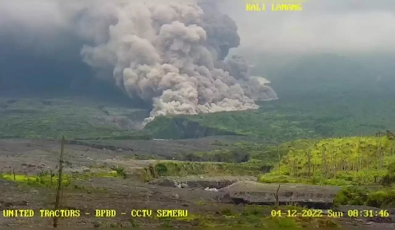 Erupsi, Gunung Semeru Muntahkan Awan Panas Radius 7 Km