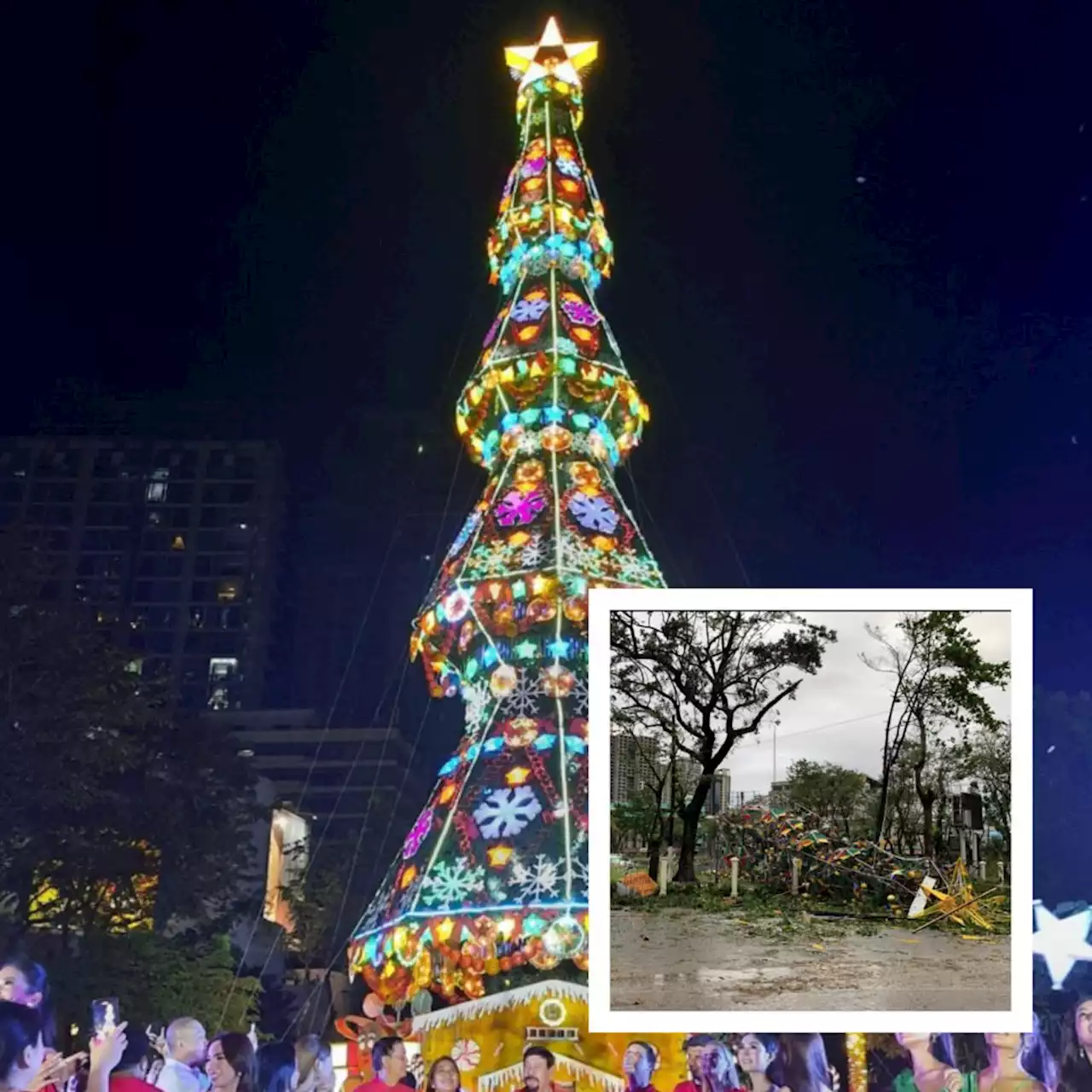 A year after being downed by Odette, Fuente Christmas tree is up and stronger