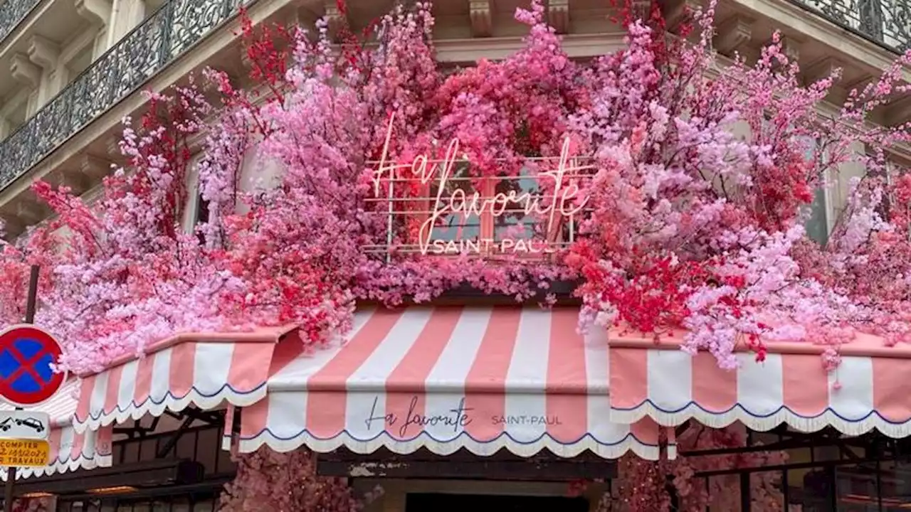 Paris : la municipalité veut réglementer les décorations en fleurs artificielles qui ornent les cafés