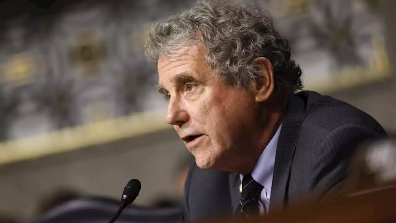 Sen. Sherrod Brown says Ohio is still a swing state ahead of 2024 election | CNN Politics