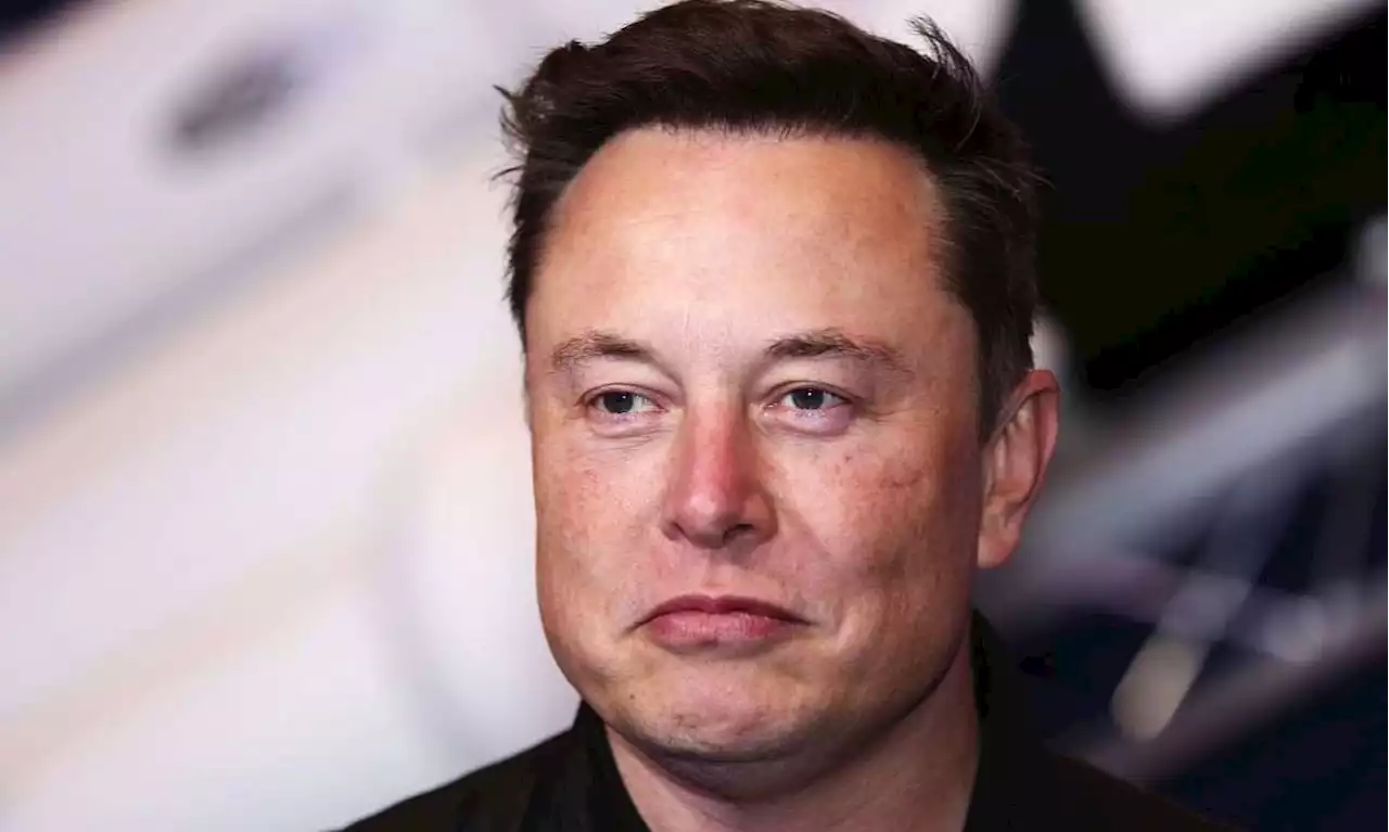 Elon Musk Says SBF Donations to Democrats 'Probably' Over $1 Billion