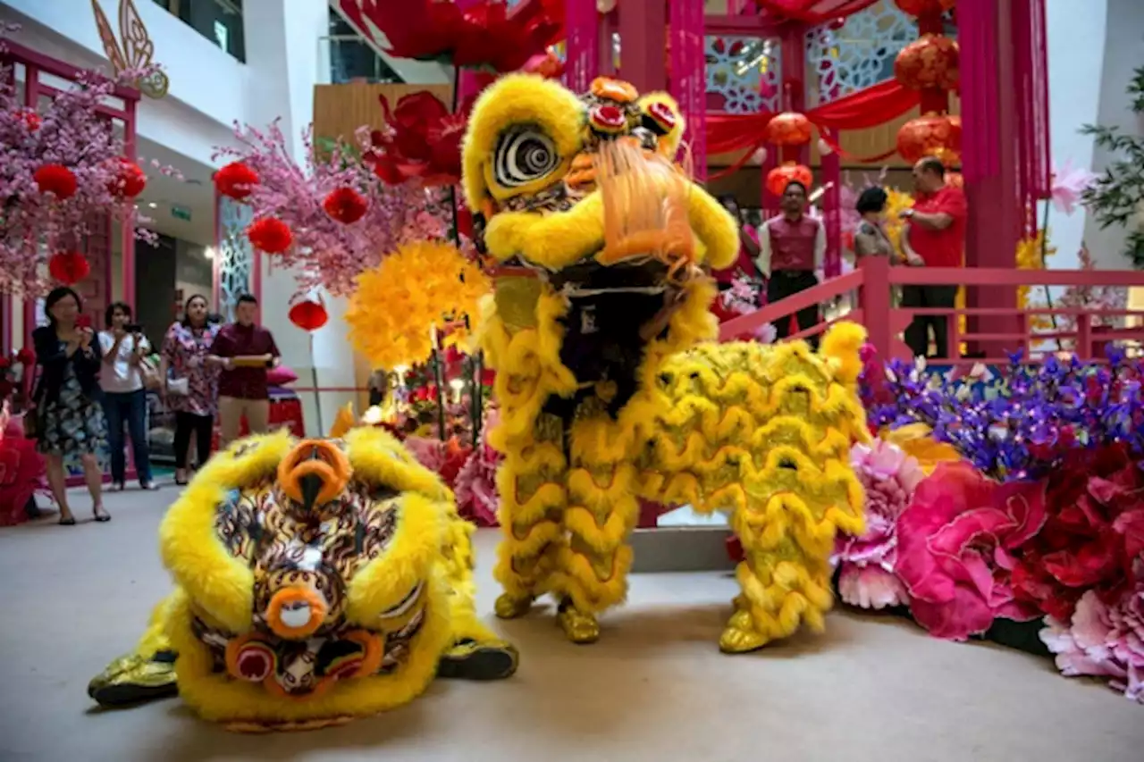 Chinese New Year Dragon, Unicorn and Lion Dance Festival at SICC on Jan 7 | Daily Express Online - Sabah's Leading News Portal