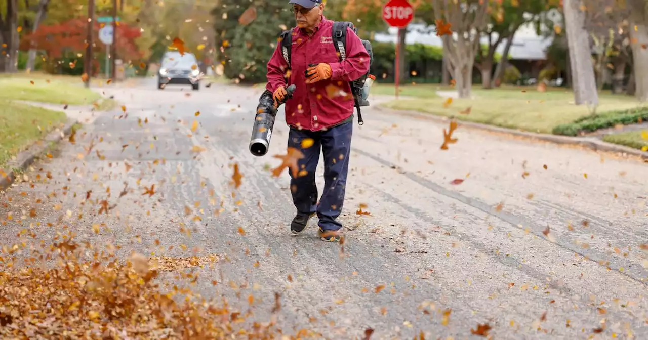 Dallas’ gas mower ban plan is bad local government