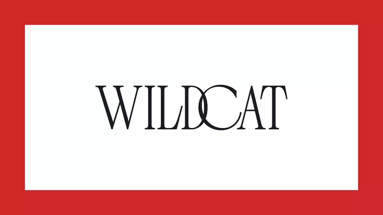 Audiences Are Applauding Amazon’s ‘Wildcat’ For Tackling Mental Illness Head-On – Contenders Documentary