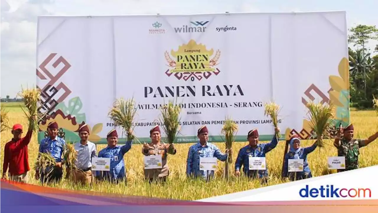 Jurus Wilmar Padi Tingkatkan Produktivitas Padi Lewat Penerapan GAP