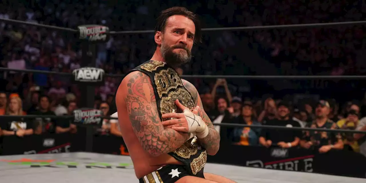 Will CM Punk still be a part of AEW: Fight Forever?