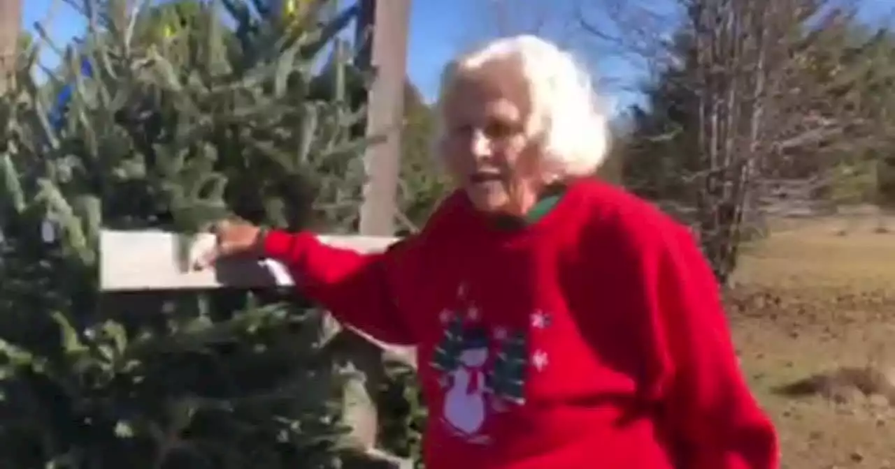 Back Home tree farm helps make Christmas traditions