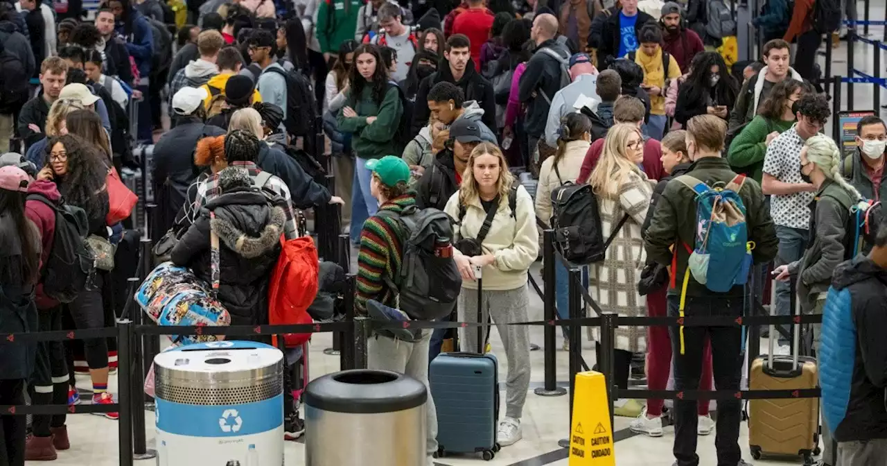 La OMS calcula que 90% de la población mundial goza de inmunidad al Covid-19