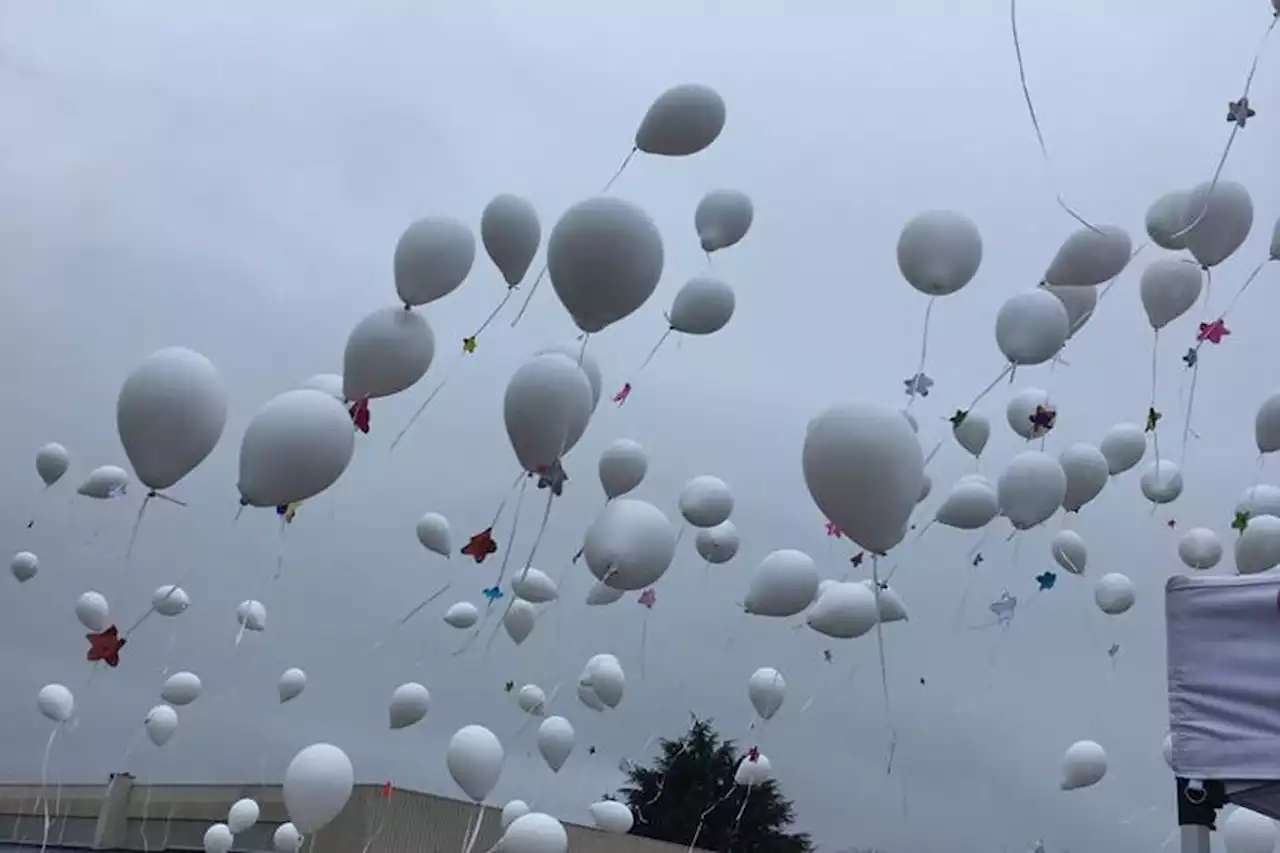 Aveyron : rassemblement en hommage aux 2 enfants morts dans un incendie à Onet-le-Château