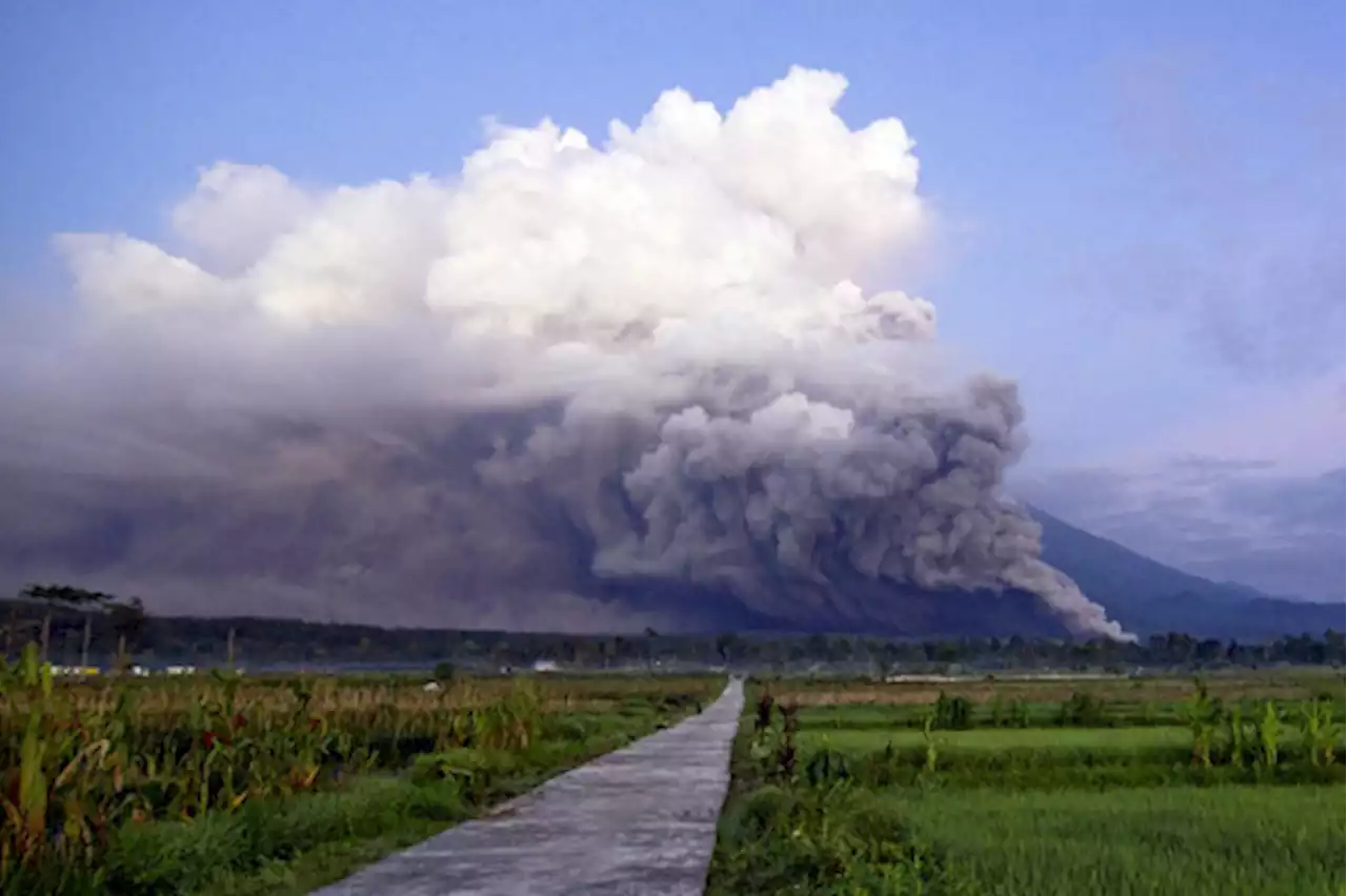 ジャワ島火山で大規模噴火、日本近海の潮位変化や津波は観測なし…気象庁 - トピックス｜Infoseekニュース