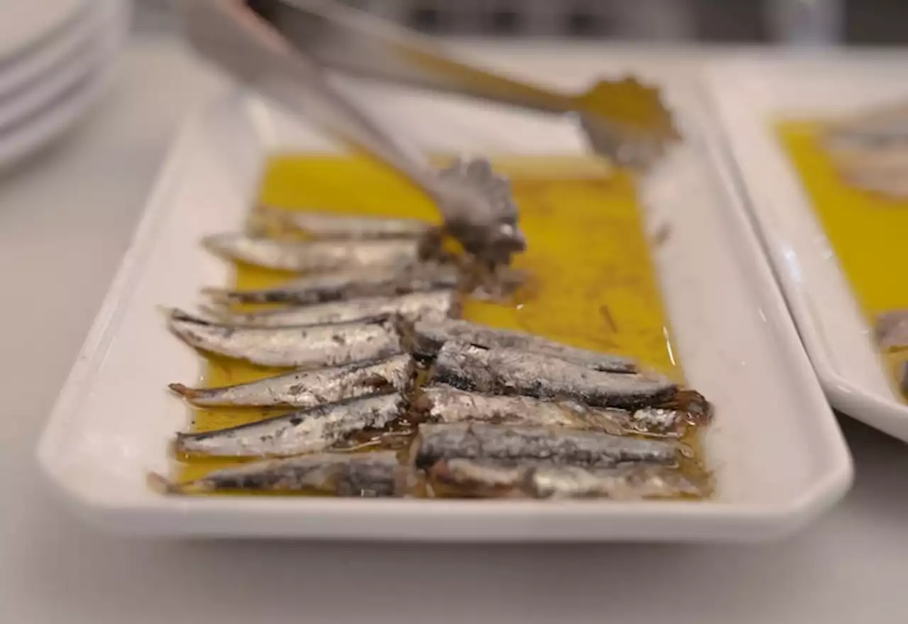 The many health benefits of sardines