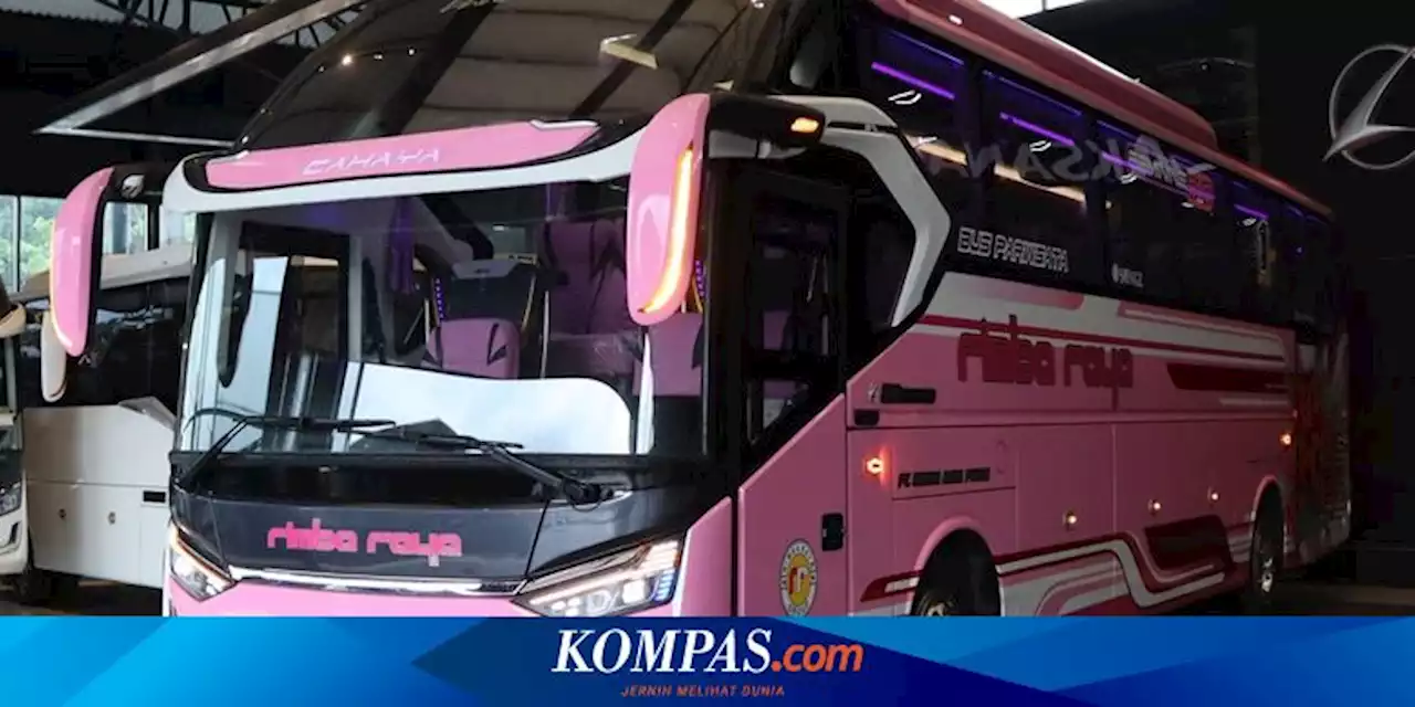 Bus Baru PO Rimba Raya, Tampil Genit Pakai Warna Pink